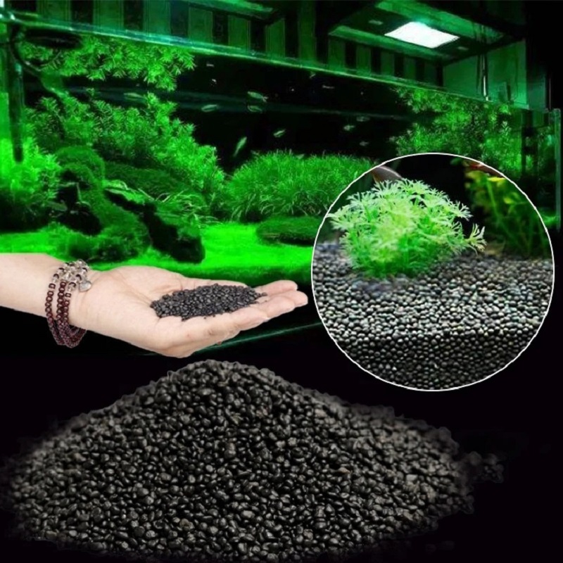 Aquarium Planted Seeds - Tanque de peixes água grama lama