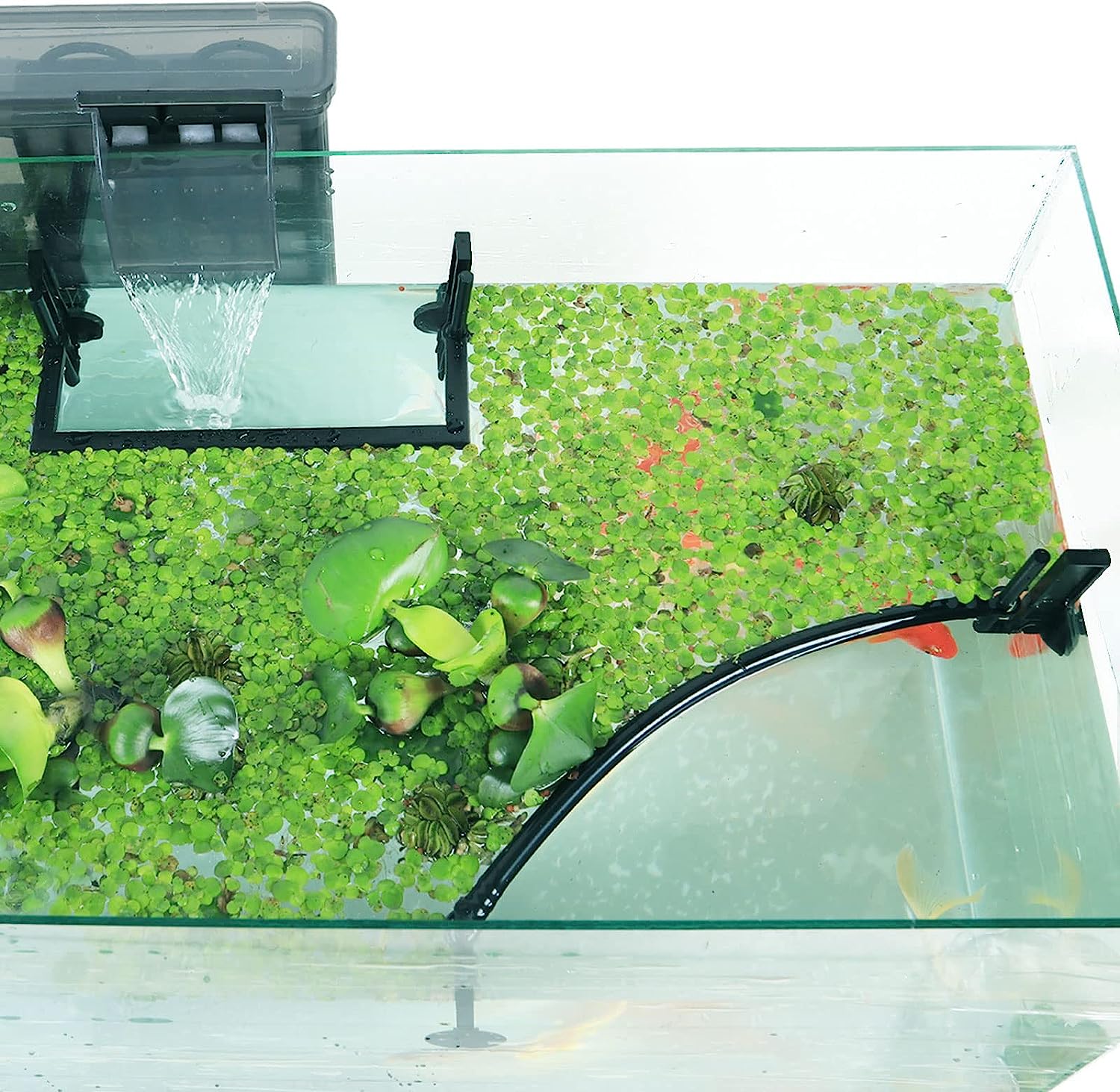 Planted Aquarium Heater - Corral de planta flutuante de aquário,