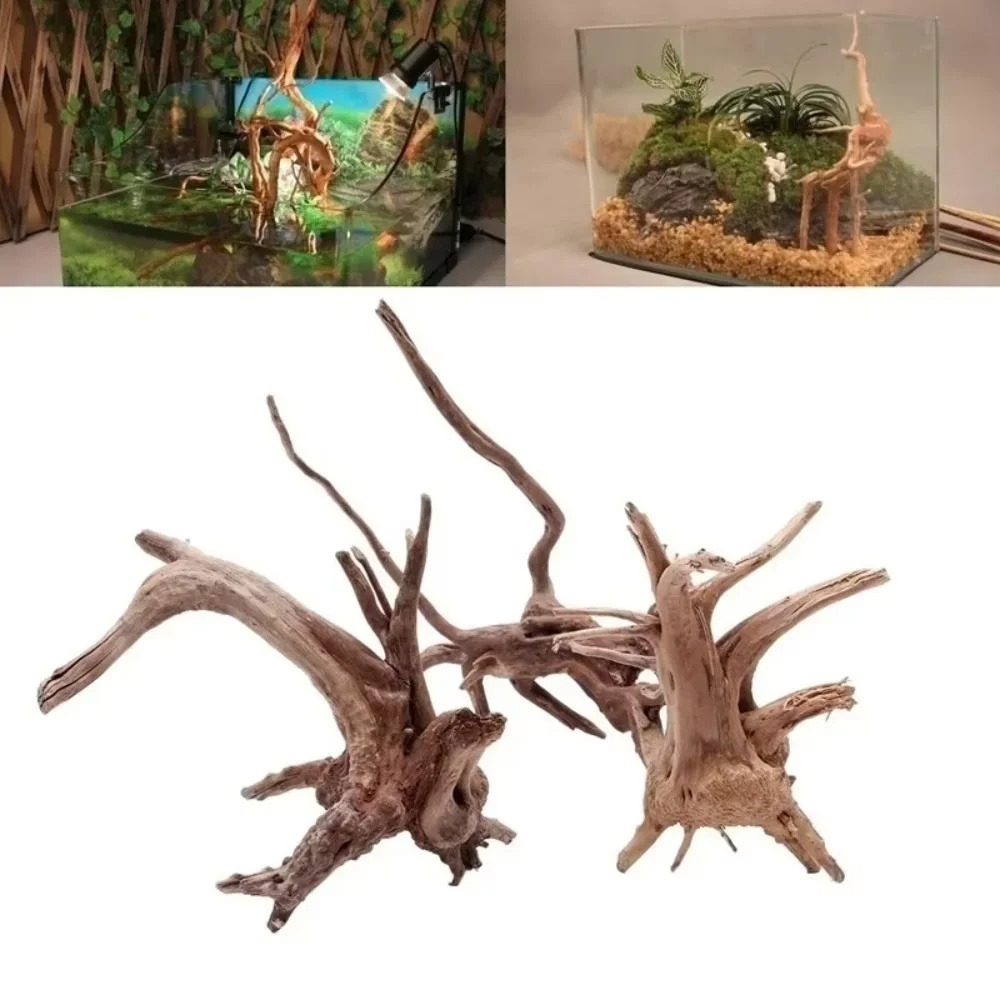 Aquarium Planted Wood - Decoração de Aquário em Madeira Natural