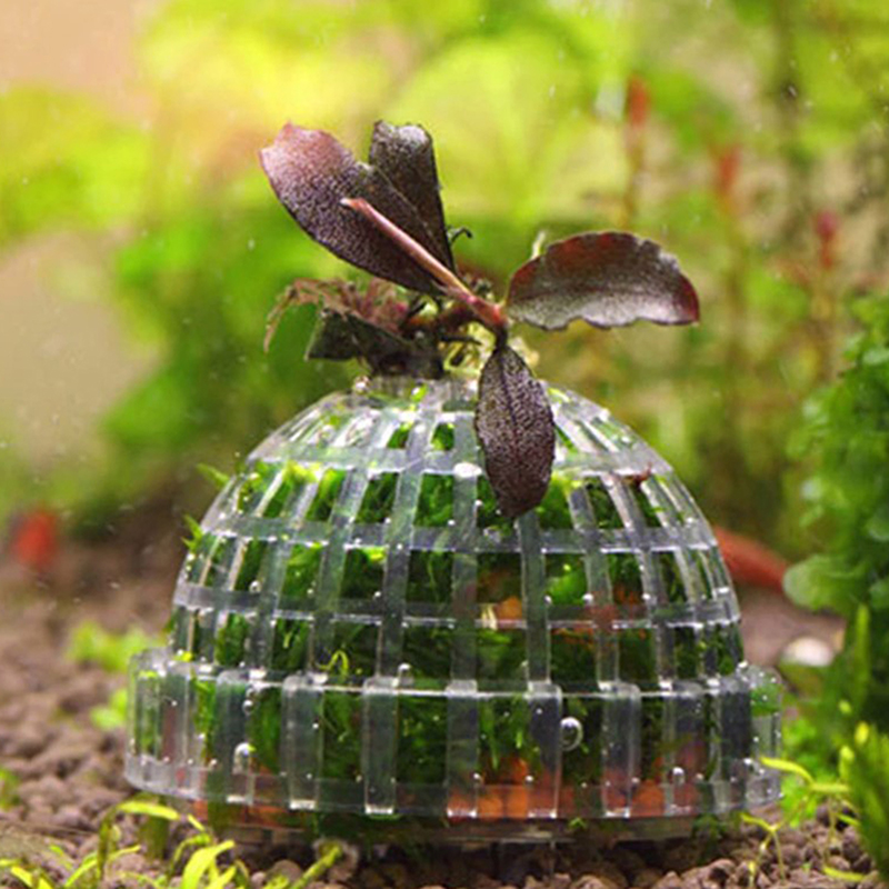 Planted Aquarium Moss - 1 unidade de decorações para animais