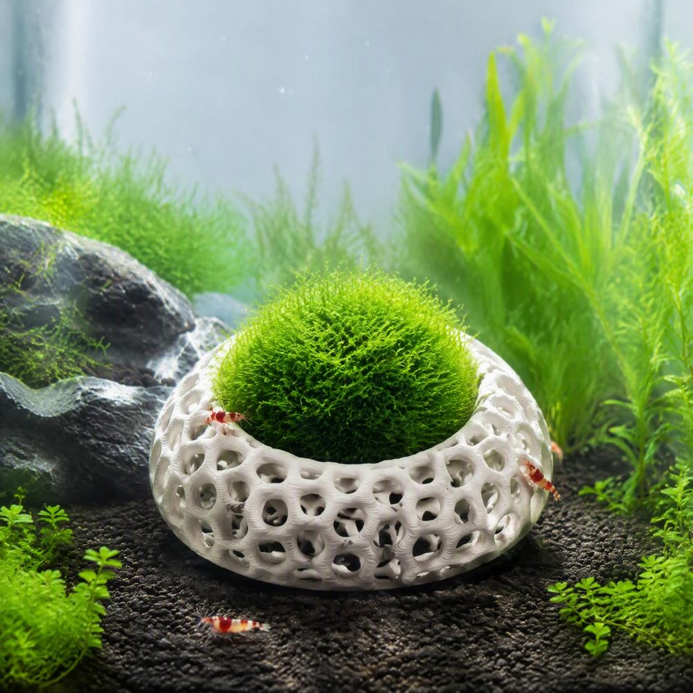 Planted Aquarium Moss - Habitat para Camarões Anões, Pacote com