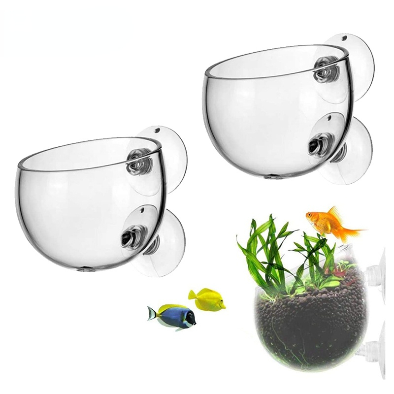 Aquarium Planted Seeds - Novo vaso de plantas de aquário,