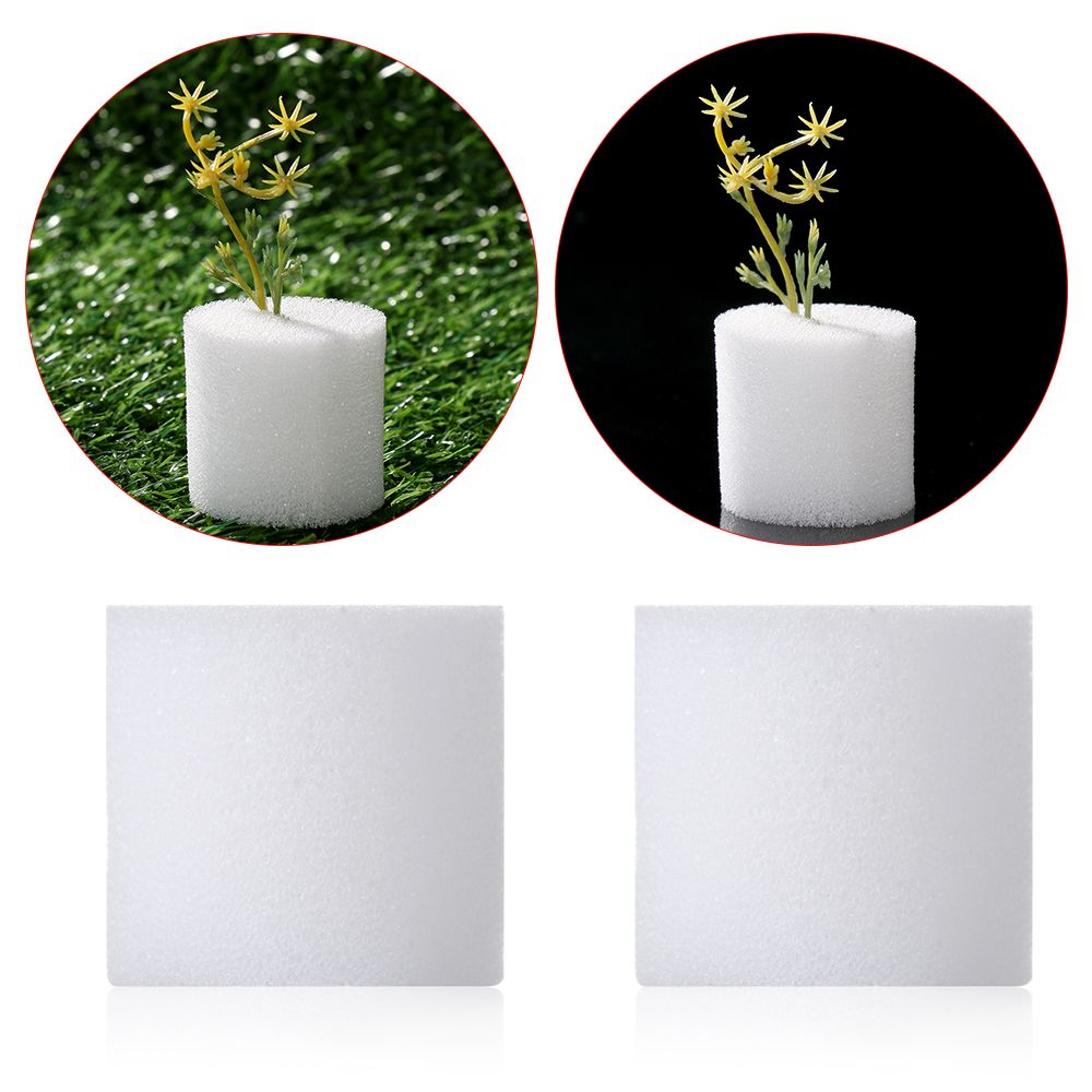 Aquarium Planted Seeds - 10/50 pçs durável jardim suprimentos aquário