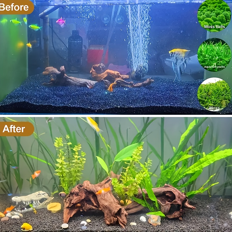 Planted Aquarium With Driftwood - 1 peça de madeira flutuante natural