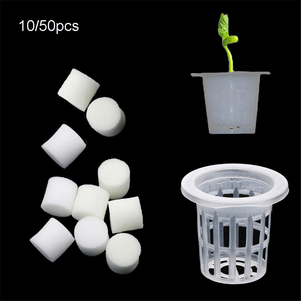 Aquarium Planted Seeds - 10/50 pçs durável plantio aquário sem