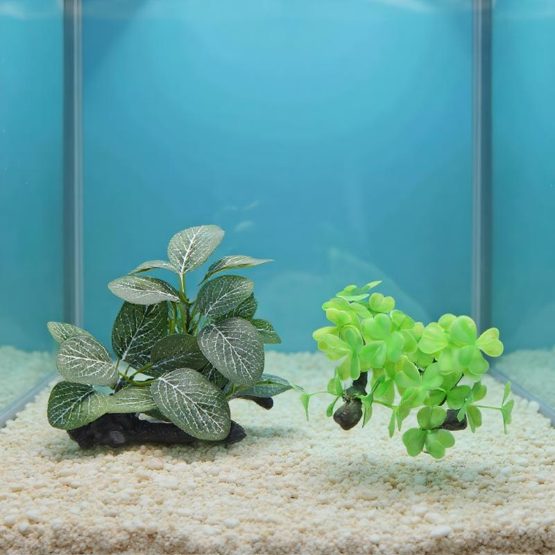 Planta flutuante artificial pa - Planted Aquarium With Driftwood avaliação e preço