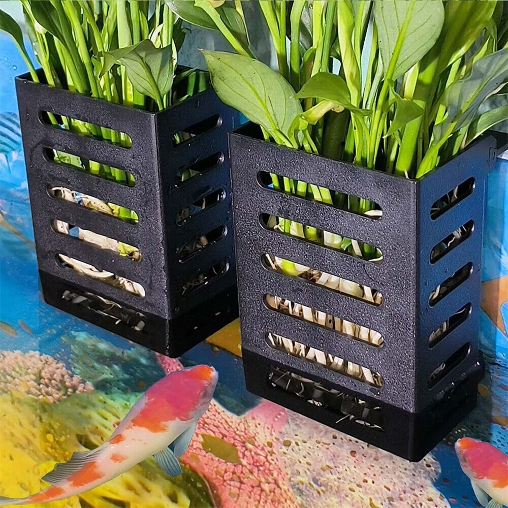 Aquário Fish Tank Titular com  - Emersed Plants Aquarium avaliação e preço