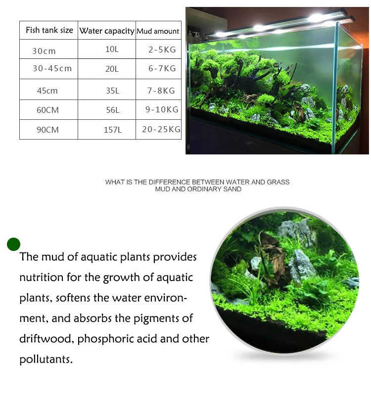 Tanque de peixes água grama la - Aquarium Planted Seeds avaliação e preço