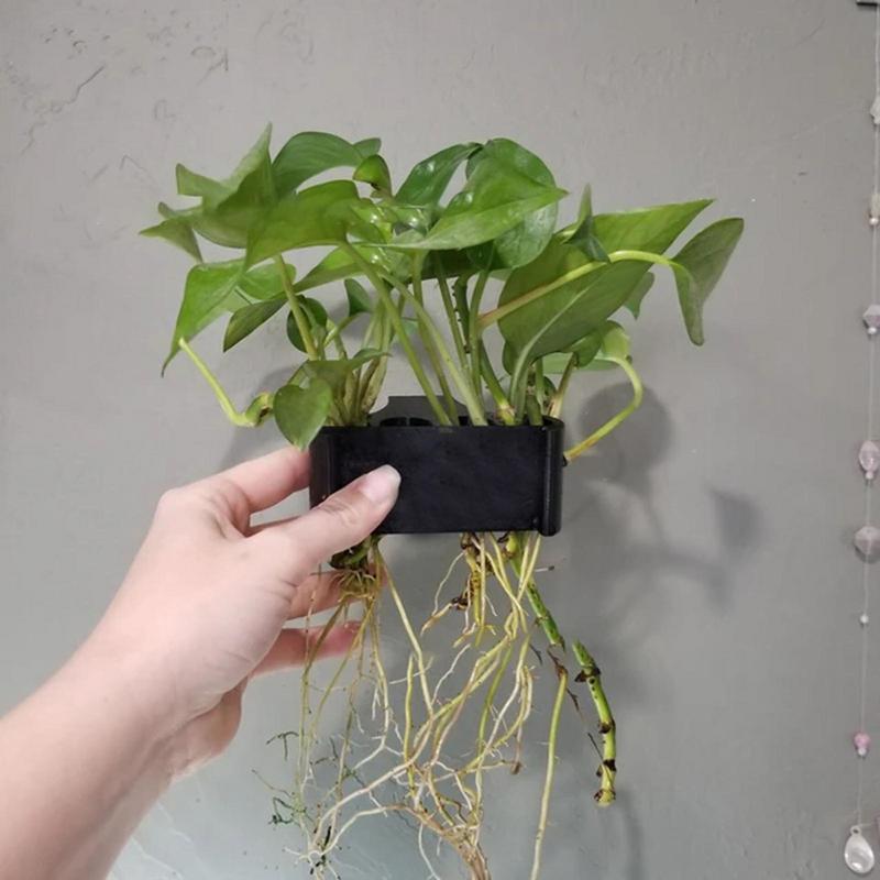 Suporte de planta de aquário s - Emersed Plants Aquarium avaliação e preço