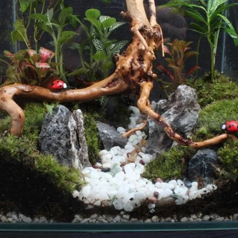 Natural Tree Tronco Driftwood  - Planted Aquarium With Driftwood avaliação e preço