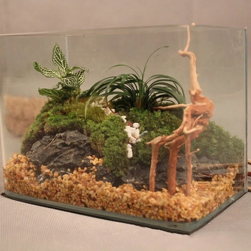 Natural Tree Tronco Driftwood  - Planted Aquarium With Driftwood avaliação e preço
