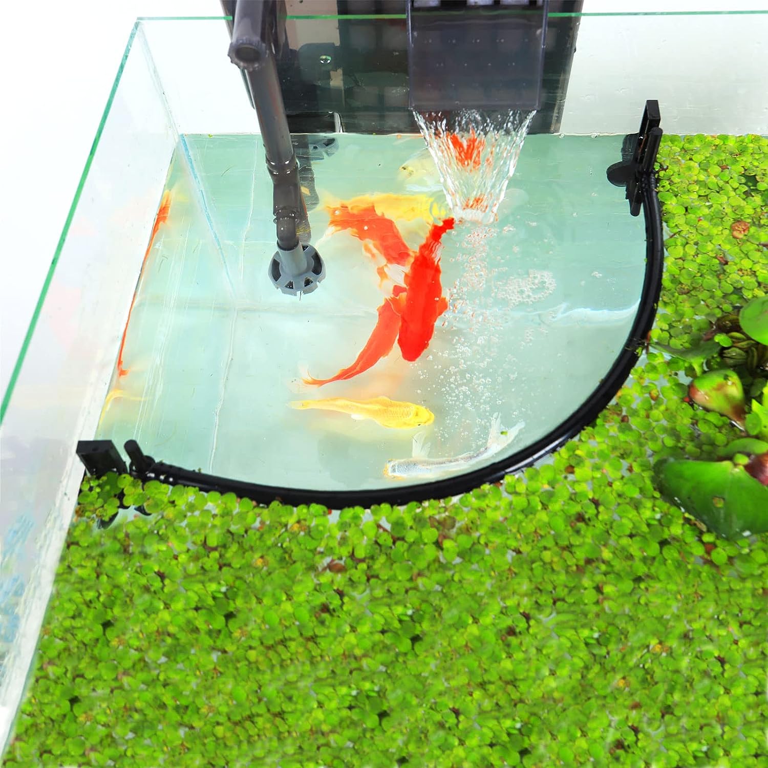 Corral de planta flutuante de  - Planted Aquarium Heater avaliação e preço