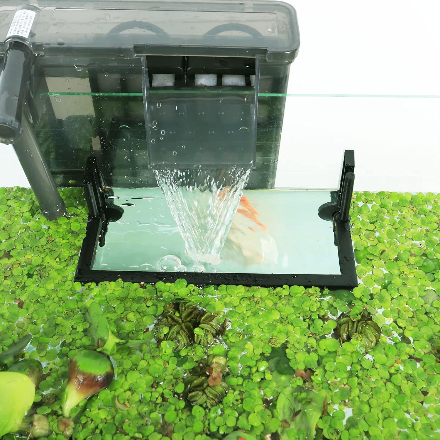 Corral de planta flutuante de  - Planted Aquarium Heater avaliação e preço