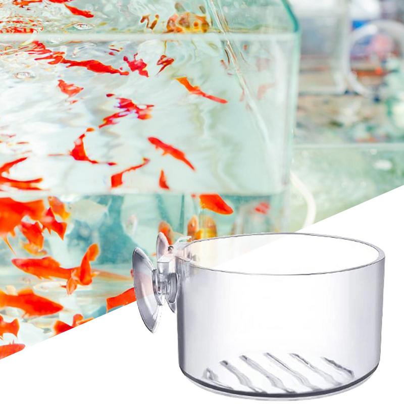 Vaso de vidro para plantas de  - Aquarium Planted Seeds avaliação e preço