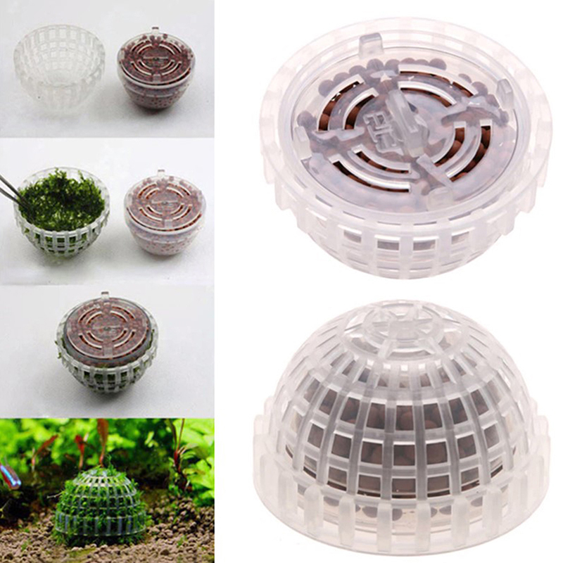 Promoção: Decorações e Suprime - Planted Aquarium For Sale avaliação e preço