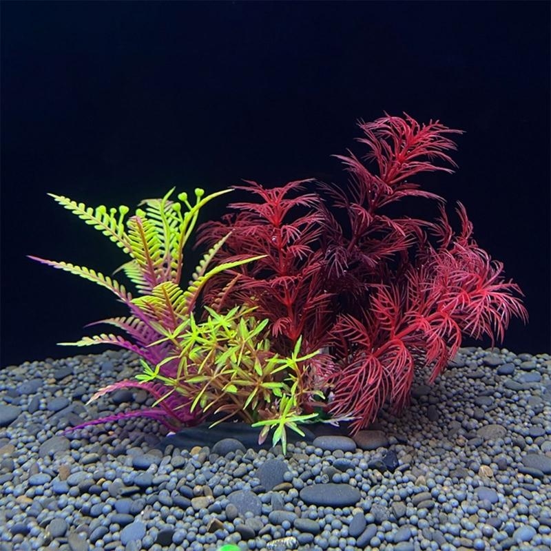 Decoração de aquário artificia - Planted Aquarium For Sale avaliação e preço