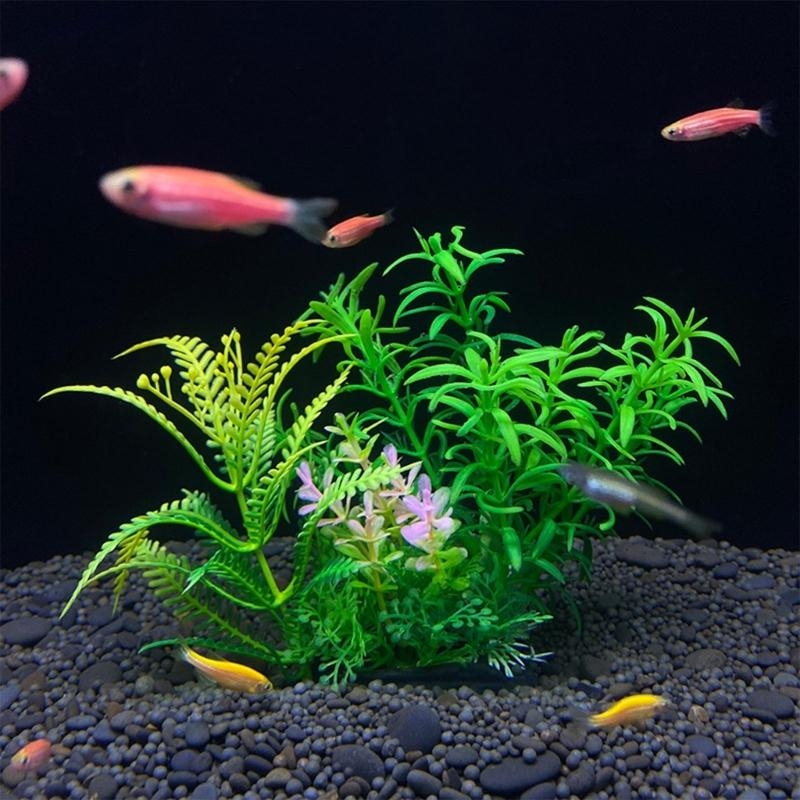Decoração de aquário artificia - Planted Aquarium For Sale avaliação e preço