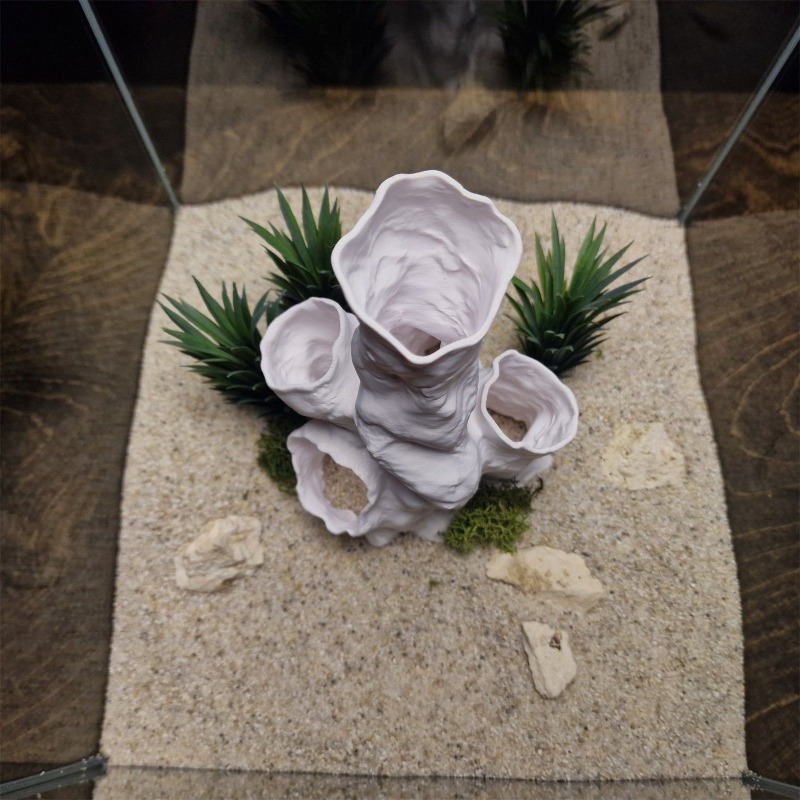 Oferta Imperdível: Decoração 3 - Planted Aquarium For Sale avaliação e preço