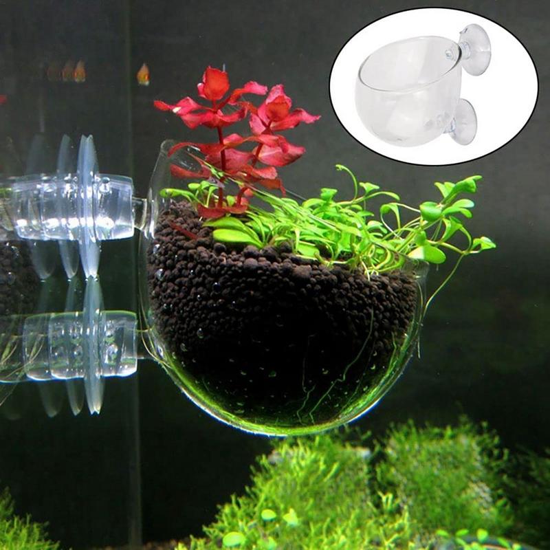 Copo de planta aquática acríli - Aquarium Planted Seeds avaliação e preço