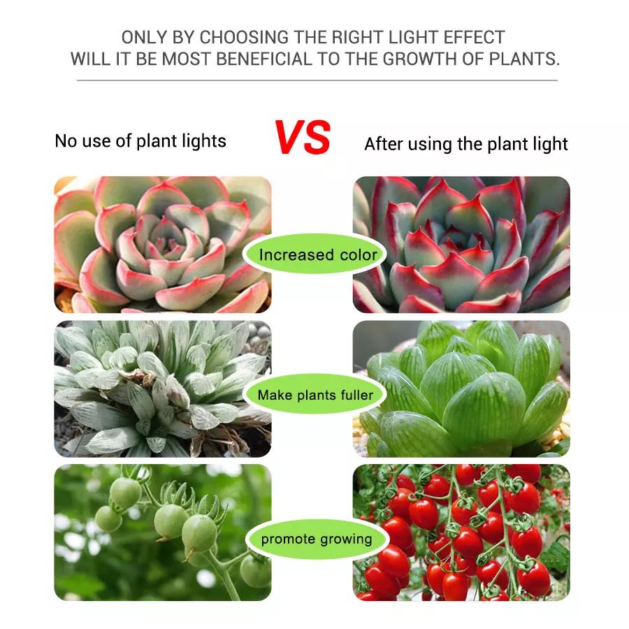 Led5v barra de luz flor aquári - Planted Aquarium Hours avaliação e preço