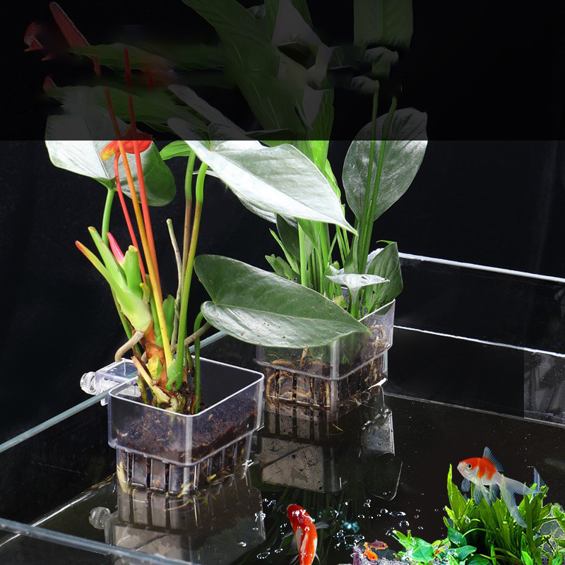 1pc cesta de plantas hidropôni - Aquarium Planted Seeds avaliação e preço