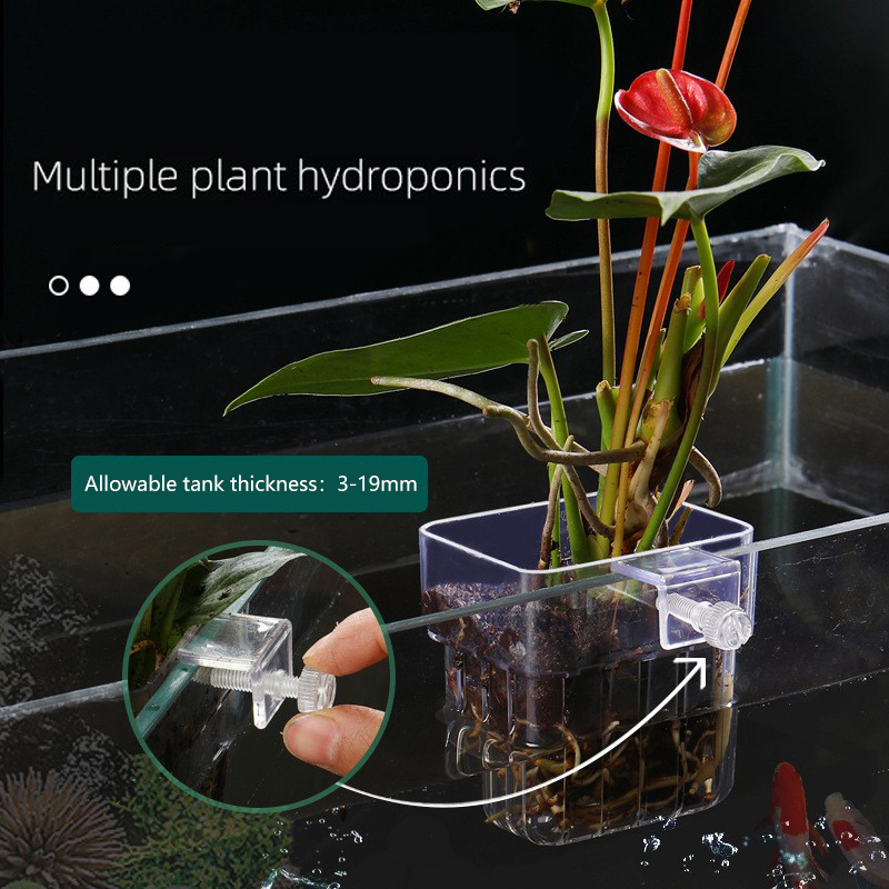 1pc cesta de plantas hidropôni - Aquarium Planted Seeds avaliação e preço