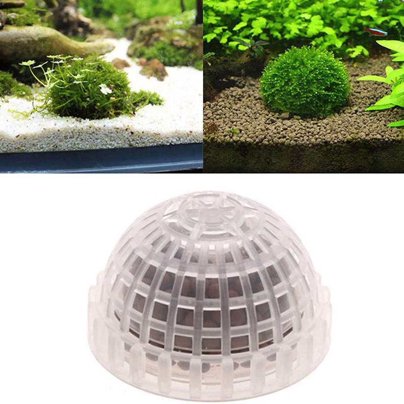 1 unidade de decorações para a - Planted Aquarium Moss avaliação e preço