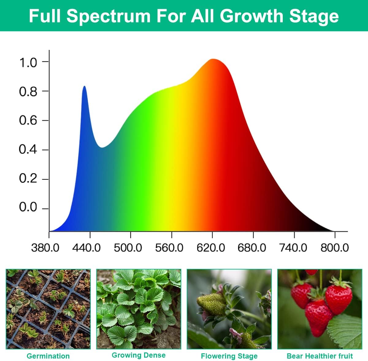 Led crescer lâmpadas planta es - Aquarium Planted Seeds avaliação e preço