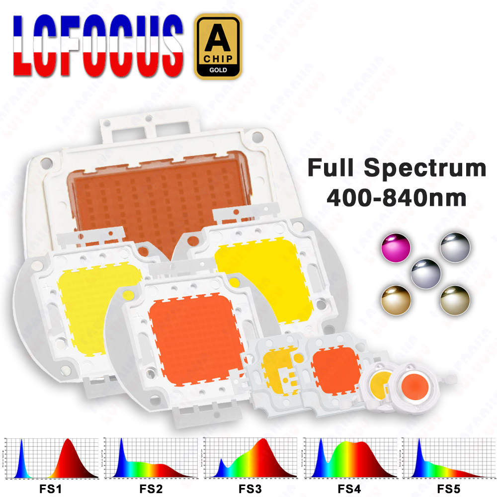 1W 3W 5W 10W 20W 30W 50W 100W  - Aquarium Planted Seeds avaliação e preço