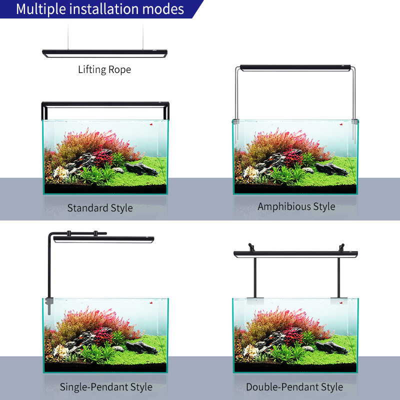 Zxy venda quente weekacu v400  - Planted Aquarium For Sale avaliação e preço