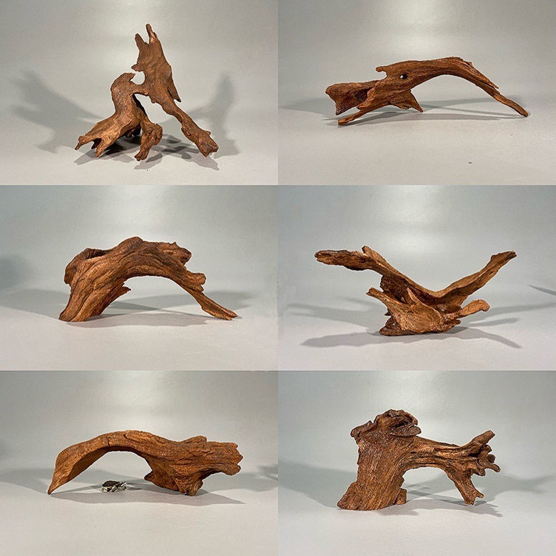 Natural flftwood aquário musgo - Planted Aquarium With Driftwood avaliação e preço