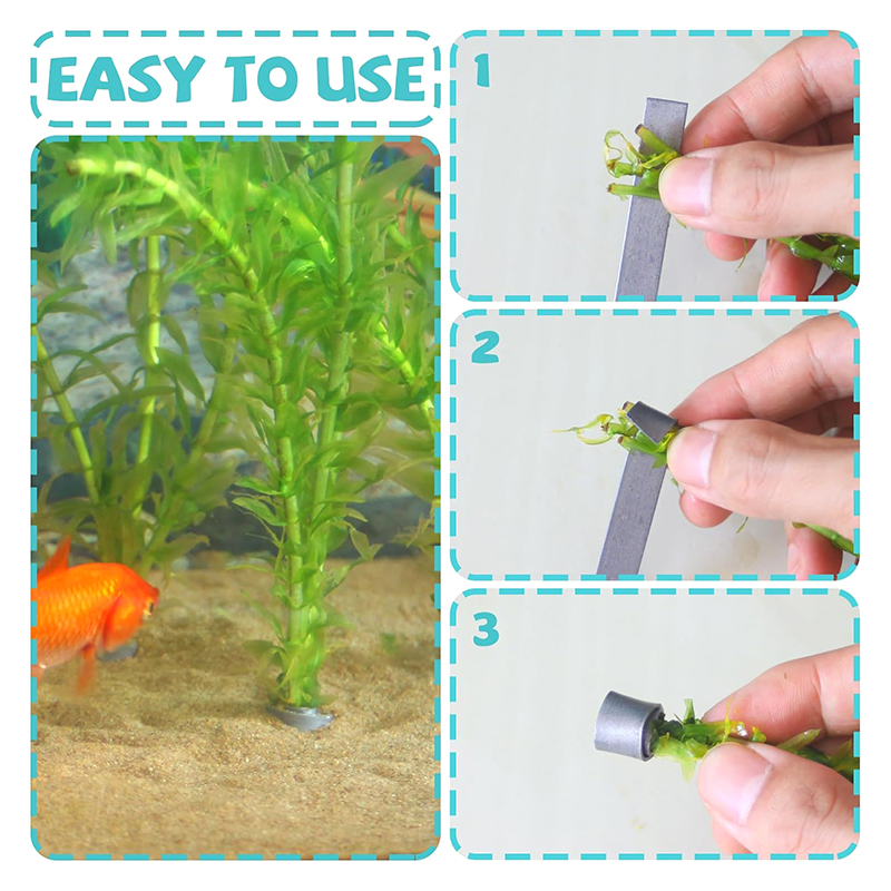 Nova Promoção: 10 Peças de Pes - Planted Aquarium For Sale avaliação e preço