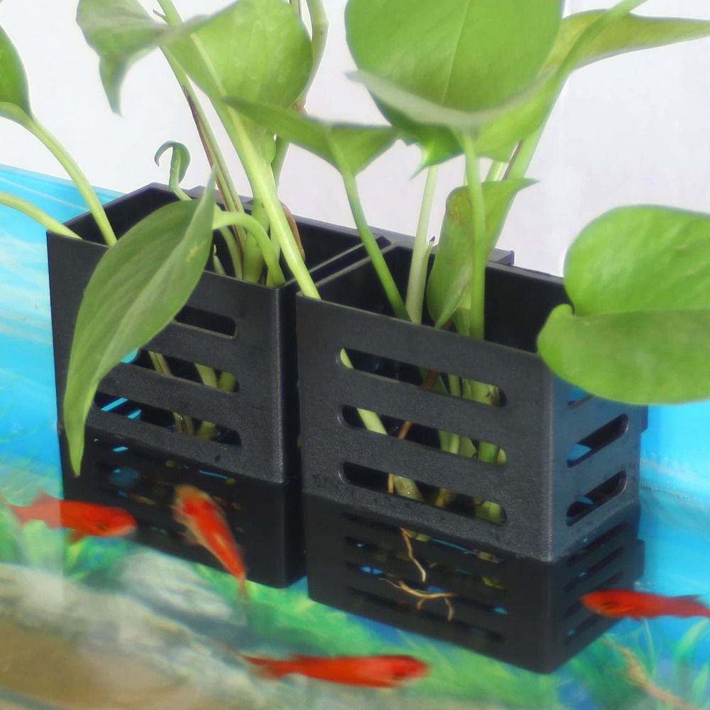 Hidropônico Aquário Suporte De - Emersed Plants Aquarium avaliação e preço