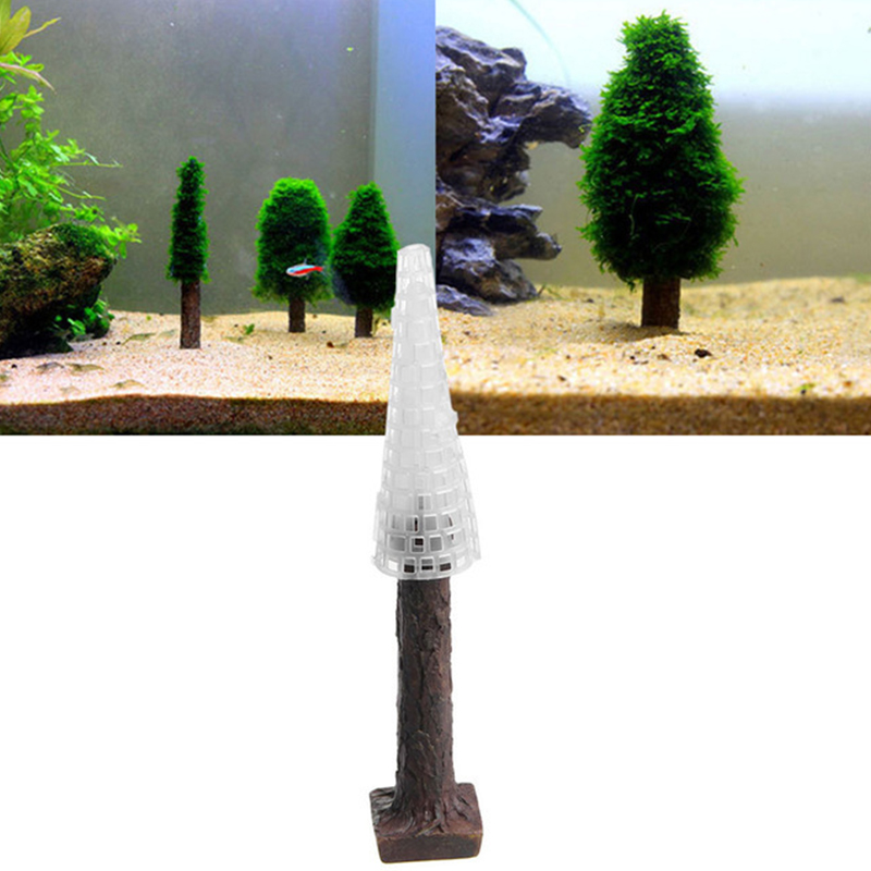 Tanque de aquário decoração de - Planted Aquarium Moss avaliação e preço