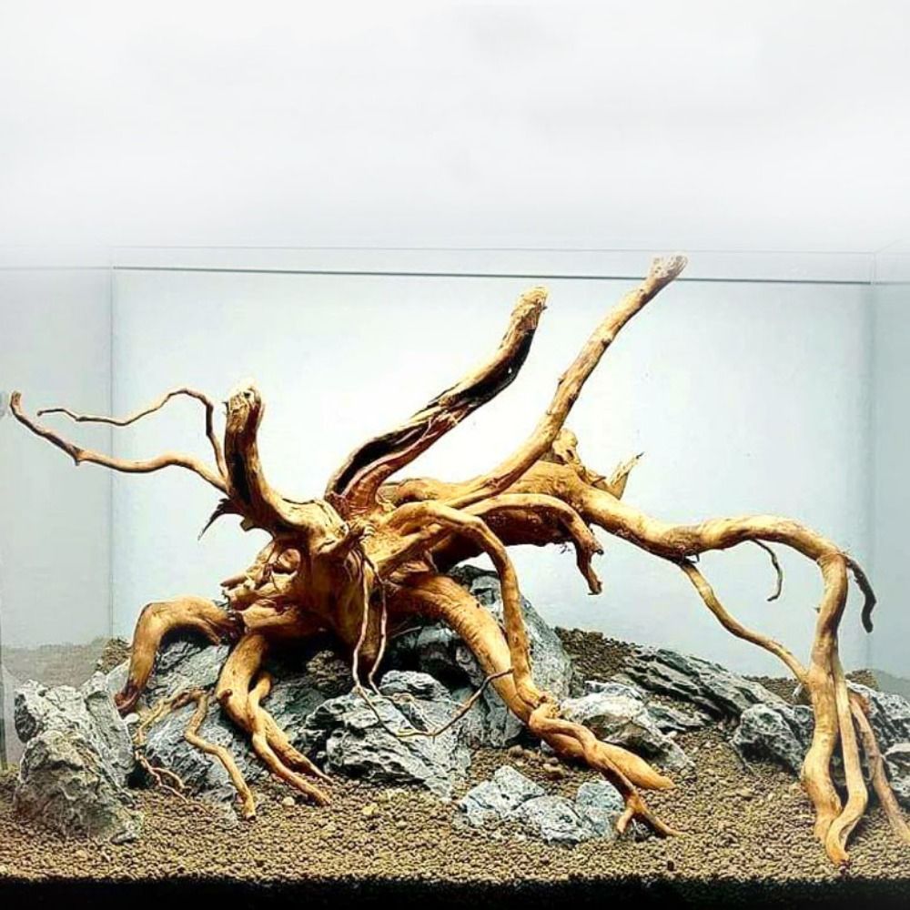 Tronco de Madeira Natural Gran - Planted Aquarium With Driftwood avaliação e preço