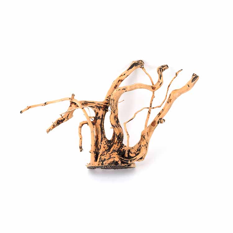 Decorações Naturais para Aquár - Planted Aquarium For Sale avaliação e preço