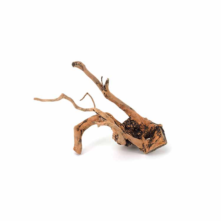 Decorações Naturais para Aquár - Planted Aquarium For Sale avaliação e preço