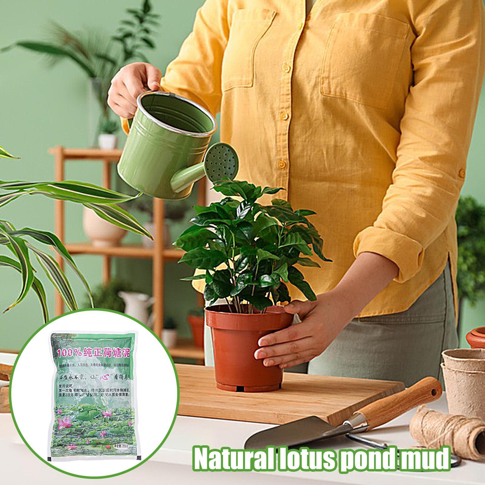200g/saco Solo Natural para Aq - Aquarium Planted Seeds avaliação e preço