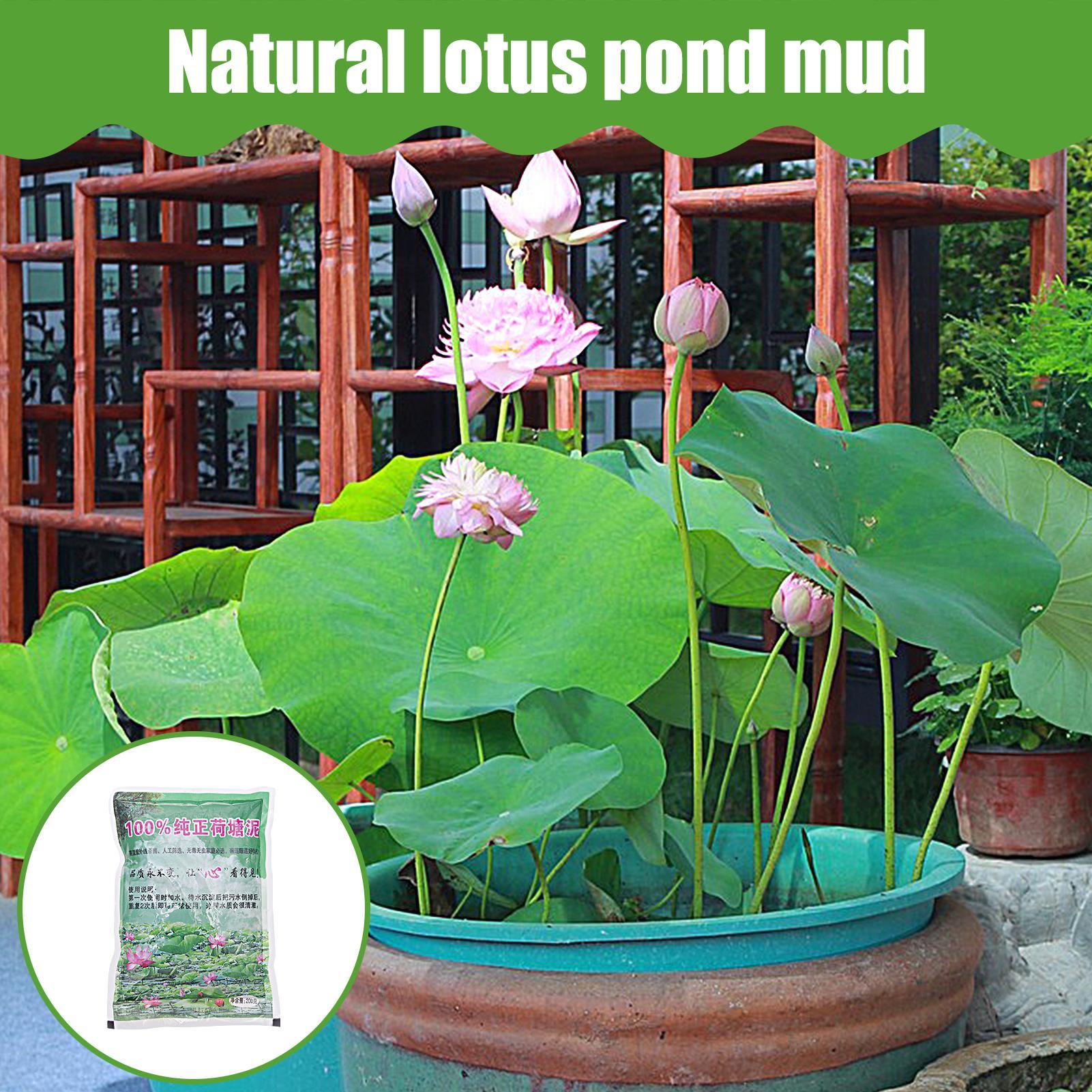 200g/saco Solo Natural para Aq - Aquarium Planted Seeds avaliação e preço