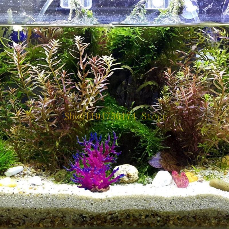 Árvore artificial planta decor - Planted Aquarium For Sale avaliação e preço