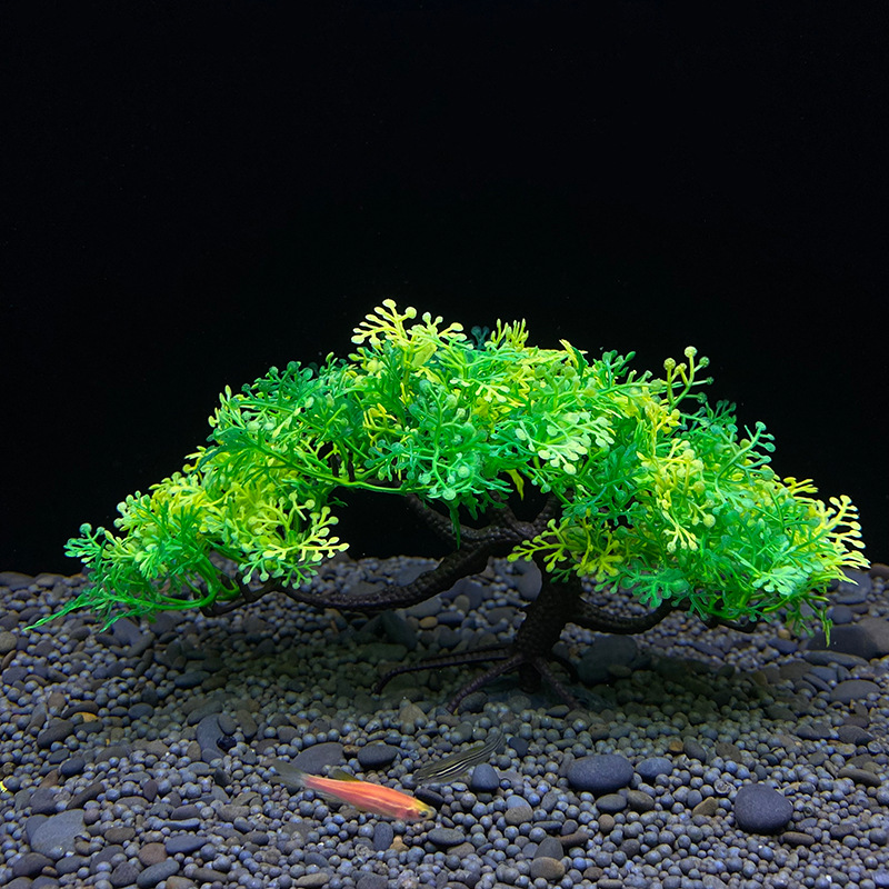 Árvore Bonsai para Aquário, Pl - Aquarium Planted Seeds avaliação e preço
