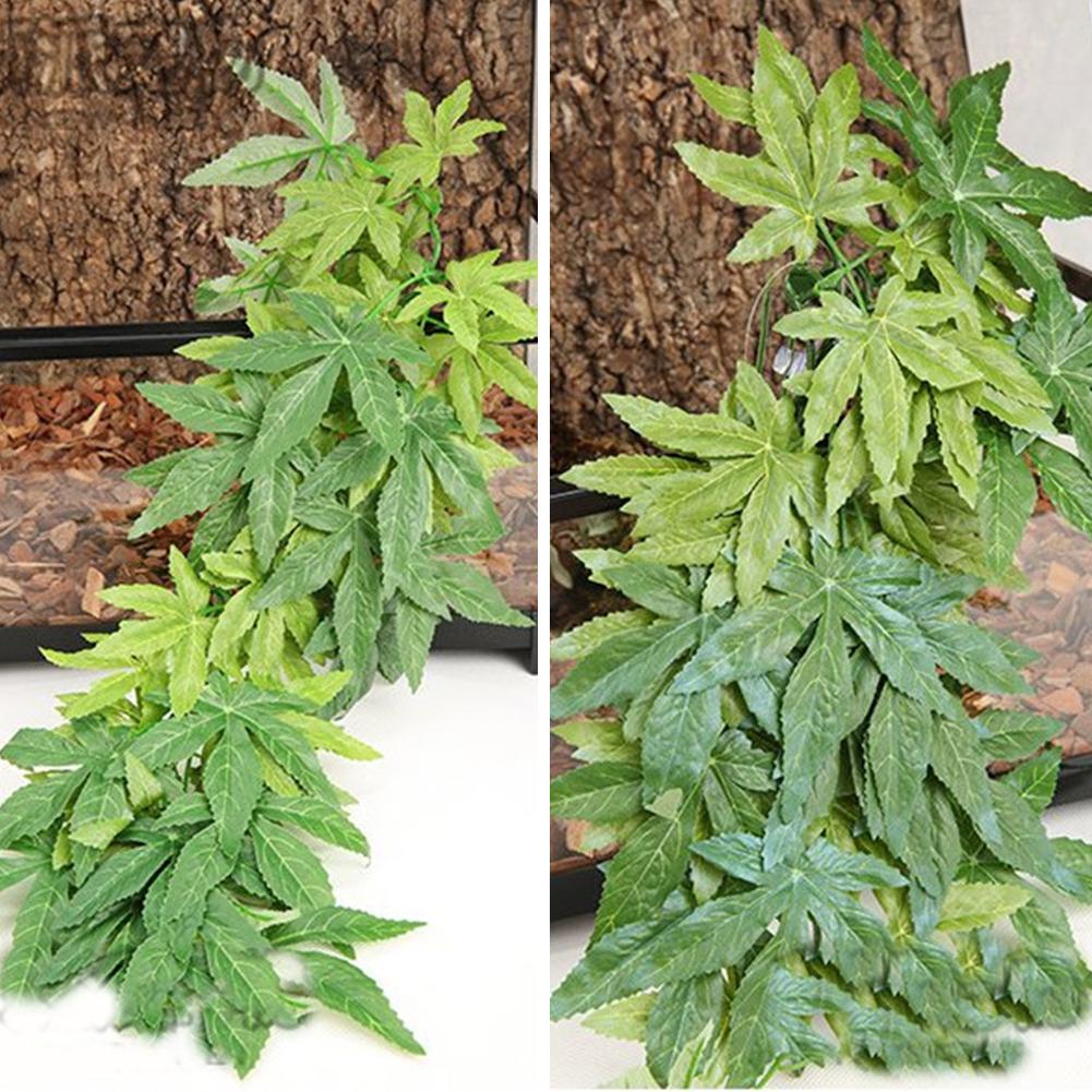 Venda quente 30/40/50cm aquári - Planted Aquarium For Sale avaliação e preço