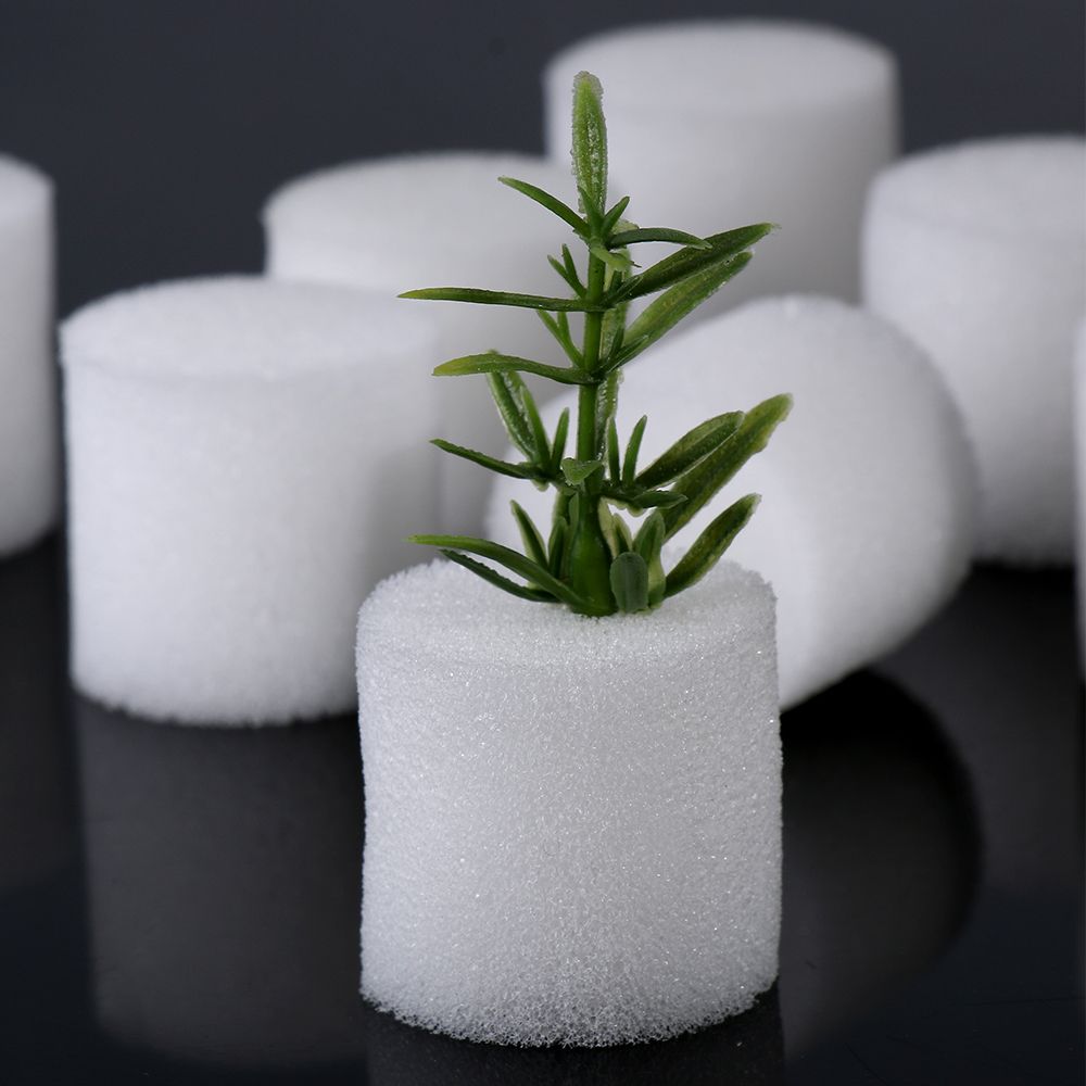 10/50 pçs durável jardim supri - Aquarium Planted Seeds avaliação e preço