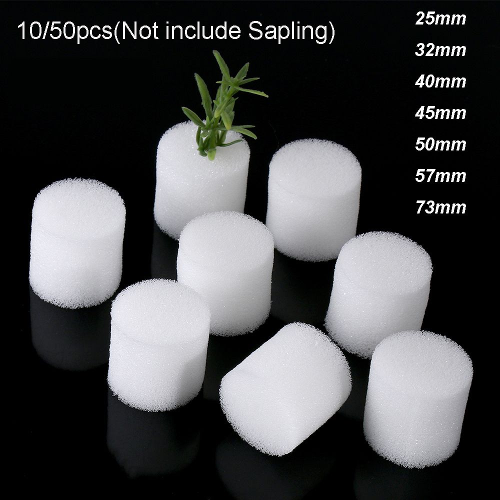 10/50 pçs durável jardim supri - Aquarium Planted Seeds avaliação e preço