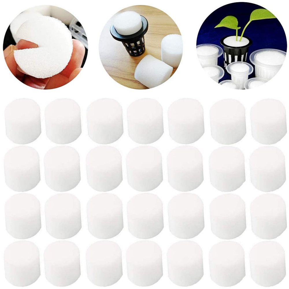 10/50 pçs durável jardim supri - Aquarium Planted Seeds avaliação e preço