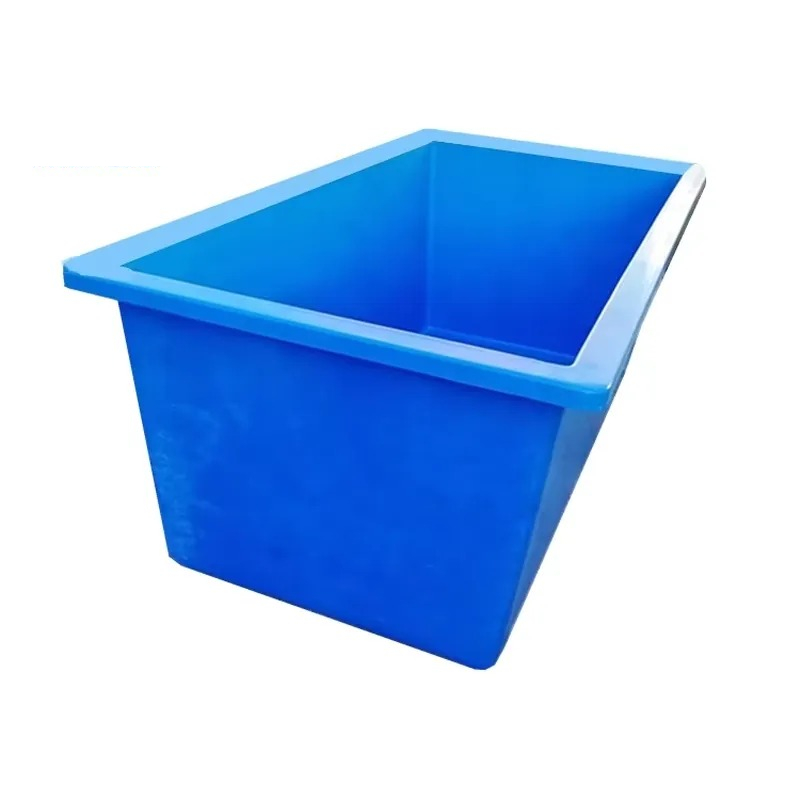 Plantas Vivas para Aquário: Fo - Aquarium Planted Seeds avaliação e preço