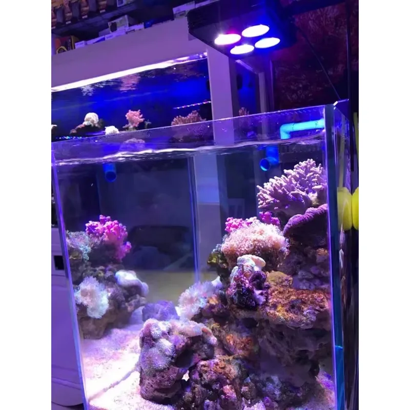 Gako A052 52w Luz LED para Aqu - Planted Aquarium For Sale avaliação e preço