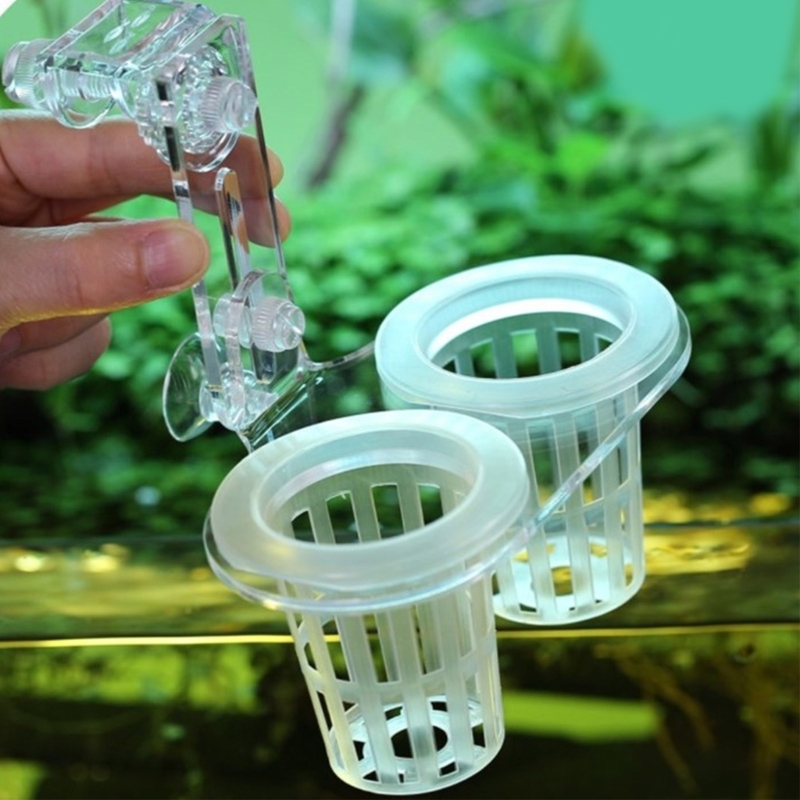 Aquários planta suporte cultiv - Emersed Plants Aquarium avaliação e preço