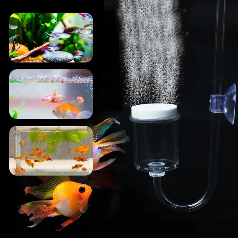 CO2 Difusor para Aquário, DIY  - Planted Aquarium Moss avaliação e preço