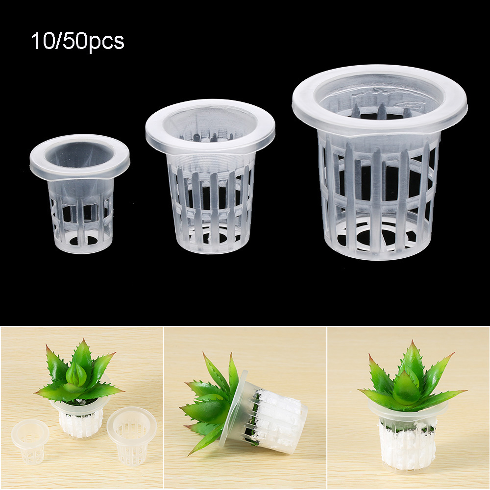 10/50 pçs durável plantio aquá - Aquarium Planted Seeds avaliação e preço